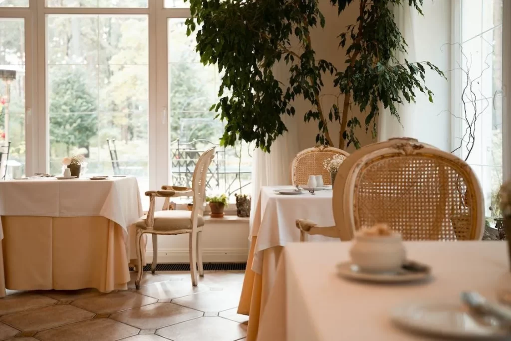 Creative Ideas to Incorporate Natural Elements in Interior Design